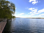 photo_low254342