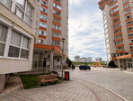 photo_low254362