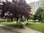 photo_low255576