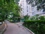 photo_low256745