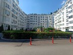 photo_low257059
