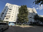 photo_low257248