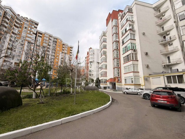 photo254437