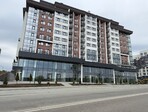 photo_low254224
