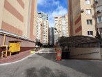 photo_low254367