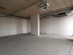 photo_low254653