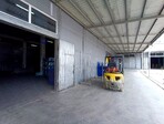 photo_low254699