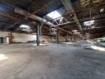 photo_low254766