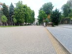 photo_low255169