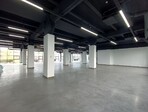photo_low255173