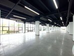 photo_low255184