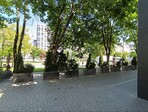 photo_low255409
