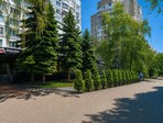 photo_low255455