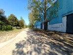 photo_low255539