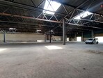 photo_low255541