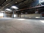 photo_low255543