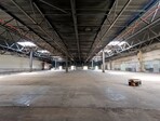 photo_low255544