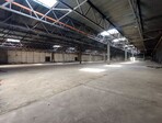 photo_low255547