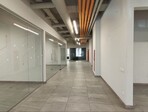photo_low255559
