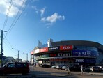 photo_low255603