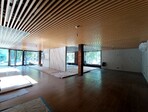 photo_low255702