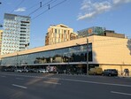 photo_low255846