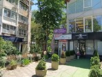 photo_low256048