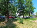 photo_low256054