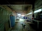 photo_low256214