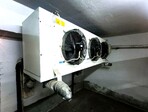 photo_low256219