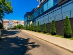 photo_low256279