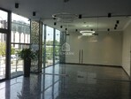photo_low256375