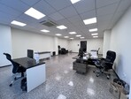 photo_low256395