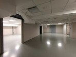 photo_low256520