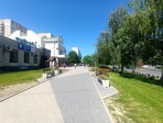 photo_low256536