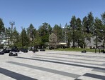 photo_low256616
