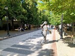 photo_low256652