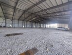 photo_low256988