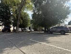 photo_low257360