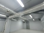 photo_low257404