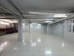 photo_low257407