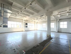 photo_low257411