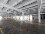 photo_low257408