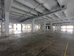 photo_low257413