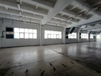 photo_low257412