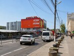 photo_low257488