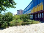 photo_low257499