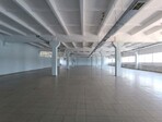photo_low257495