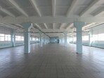 photo_low257496