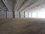 photo_low257524